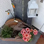 Im Traumhaus Lägenhet *