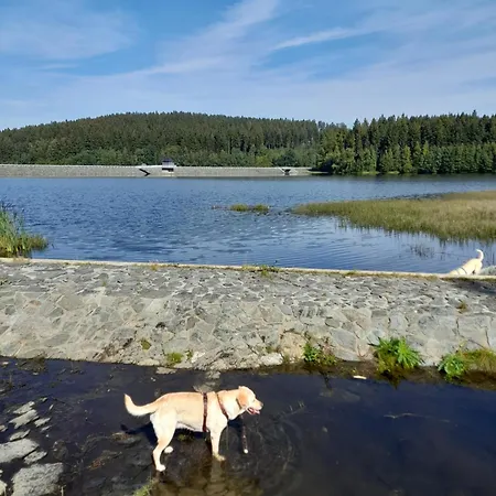 Im Traumhaus * Werda