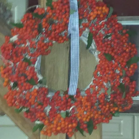 Im Traumhaus 아파트