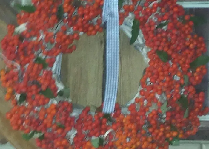 Im Traumhaus 아파트